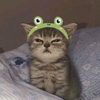 soft_fost