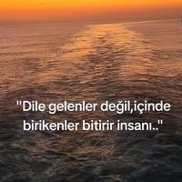 orijinal ses