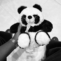 dnyssvity._