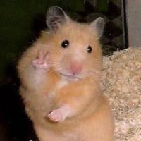 original sound - renjun’s | yanna