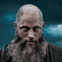 vikings047