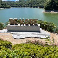 kobe_stay