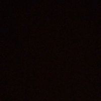 gilber_monzant106