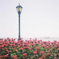 オリジナル楽曲 - 🥂