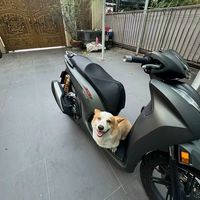 nhạc nền - Hết dzai thì đổi tên 😏😏