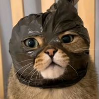 សំឡេងដើម - MONKEY D JOY