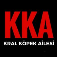 kralailesitv