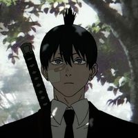 aki.hykwaa