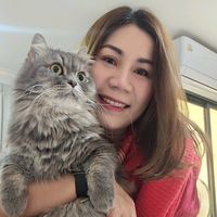 napat.68
