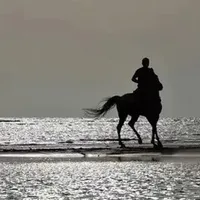 هاني الرويلي