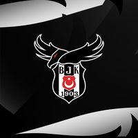 besiktasesports
