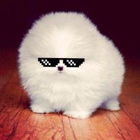 оригинальный звук