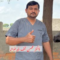 vet.dr.mohsin