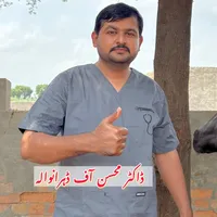 original sound - vet.dr.mohsin