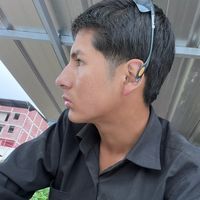 chinininp02.11