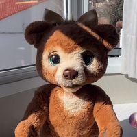 cubbyfurreal_