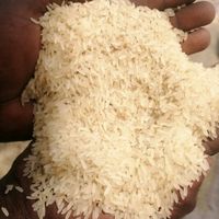 saro_maishinkafa
