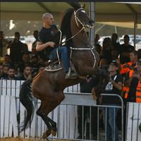 mustafa07115