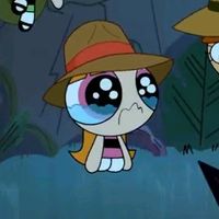 sharkjirappgfananimation