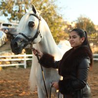 norhan_halabi5
