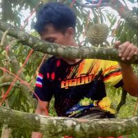 amree.1234