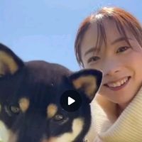.shibainu4