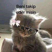 orijinal ses