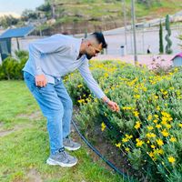 hawar_zaxoly