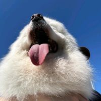 original sound - Bebe_Girl