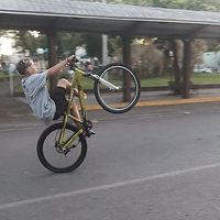 luansilva818482