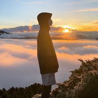 âm thanh gốc - Văn Trường