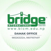 bridgeinternationaldamak