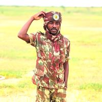 mahadi7176