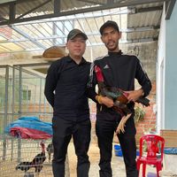 nguyenhanhan313