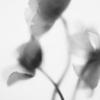 MISSING U _speed song