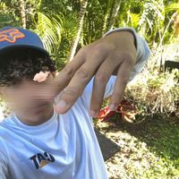 sad.nssm_