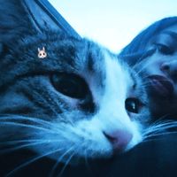 Harun Məmmədov dublaj səs