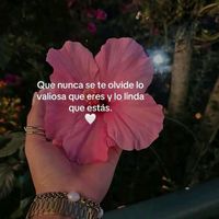 sonido original