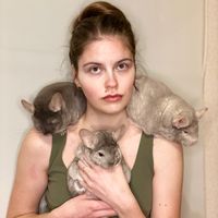 chinslove