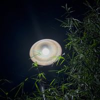 original sound - Djoy