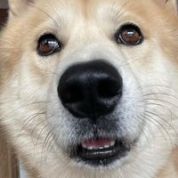 เสียงต้นฉบับ - ต่องปุ๊บ