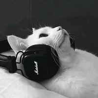 suara asli - Quinn_bee!