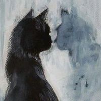user3818107113219