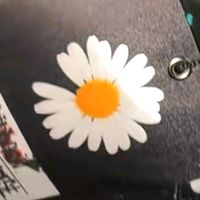 zairaceja6978