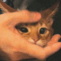 chrisisnoturbby