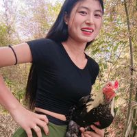 thaethae6900