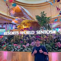 suara asli - pzwisnu