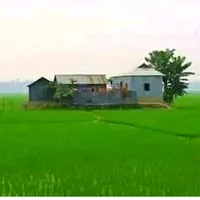 original sound - tanvirahammed328