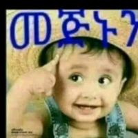 user8181617881652
