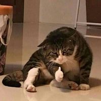 fresh_chili